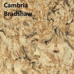 Cambria Bradshaw